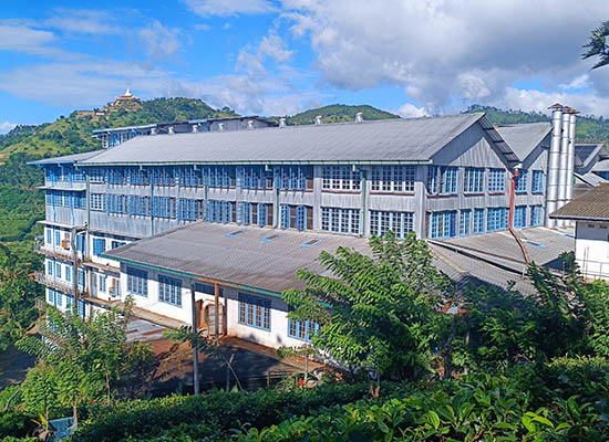Halpe Tea Factory