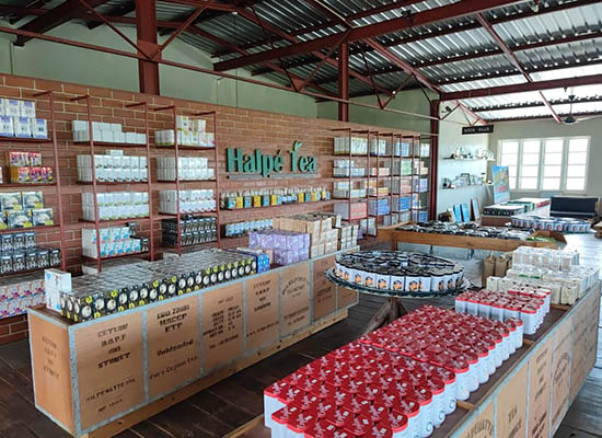 Halpe Tea Factory